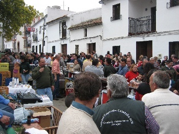 Día Andalucía 2009 4