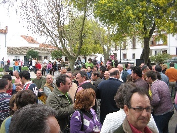 Día Andalucía 2009 7