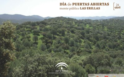 Jornada de Puertas Abiertas en Las Erillas.